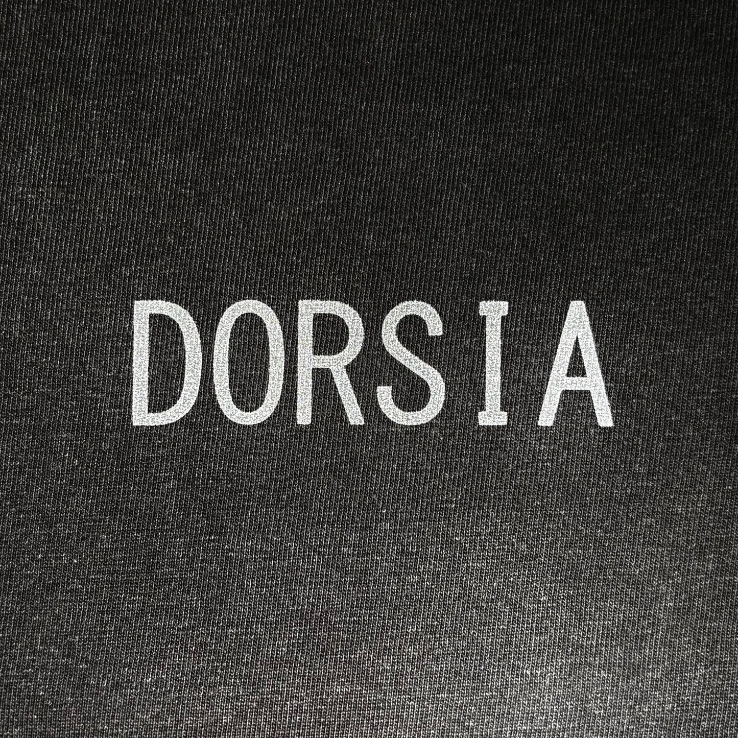 Reflector OG LOGO TEE（Fade gray /brack）